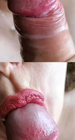 Amateur hands free close up blowjob