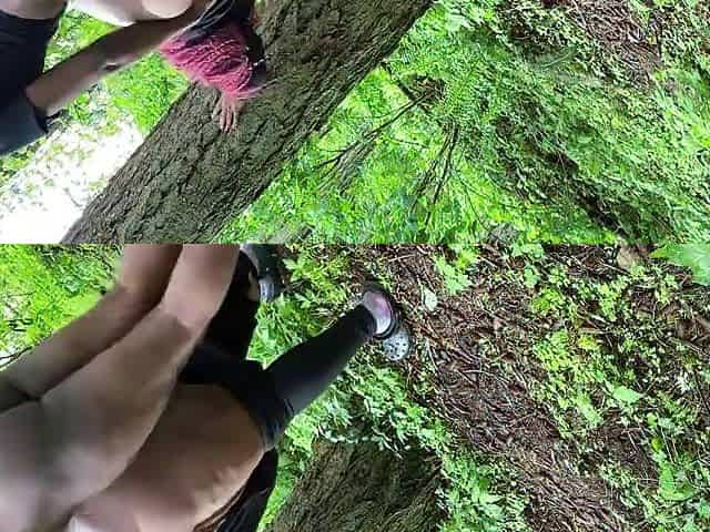 Sunset creampie
