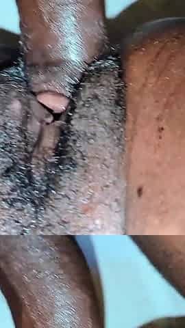 African Ebony & Backshots Action Ebony Star