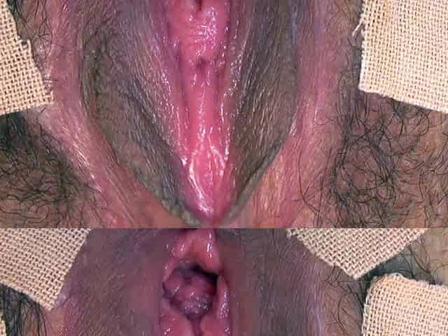 Erotic amateur girl giving blowjob and titjob in POV