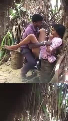 Desi Lovers In Park Sex