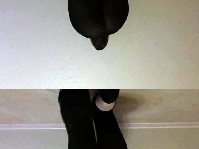 Yoga Pants Footjob and Masturbation for Big Ass