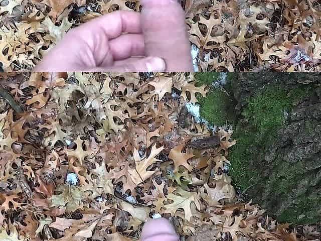 Masturbating in Woods during Hunting Season