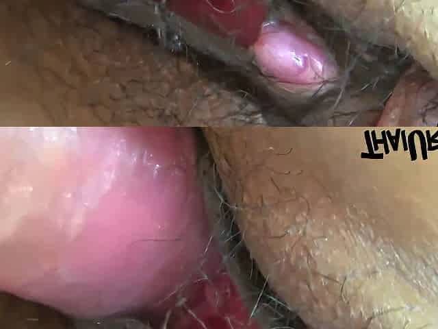 Asian Milf Gets The Cum On Her Hairy Pussy