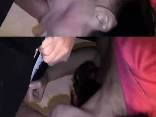 Amateur public blowjobs facial