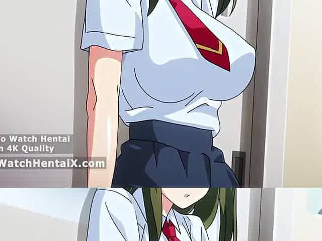 Comics anime, animation porn