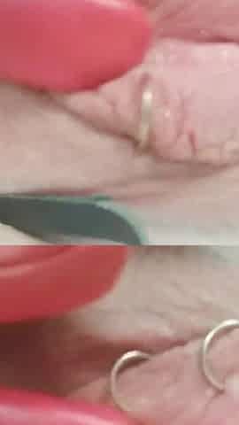 Selfie Sex Video Hot MILF Tesing Sexy