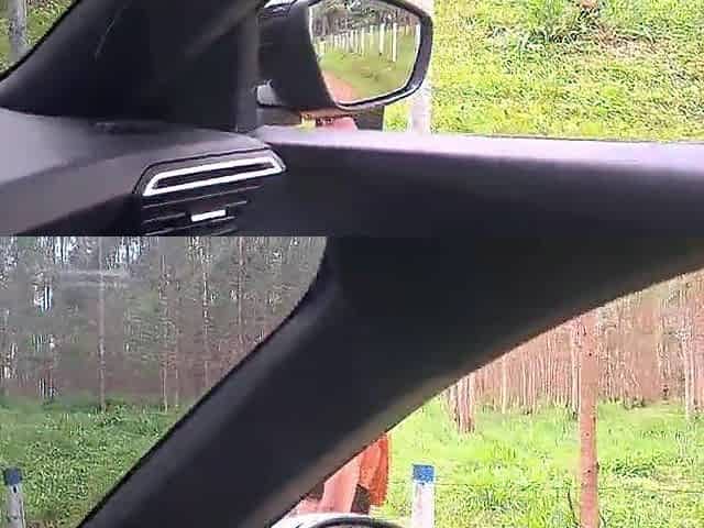 flashing his weenie at a hotty in the car!