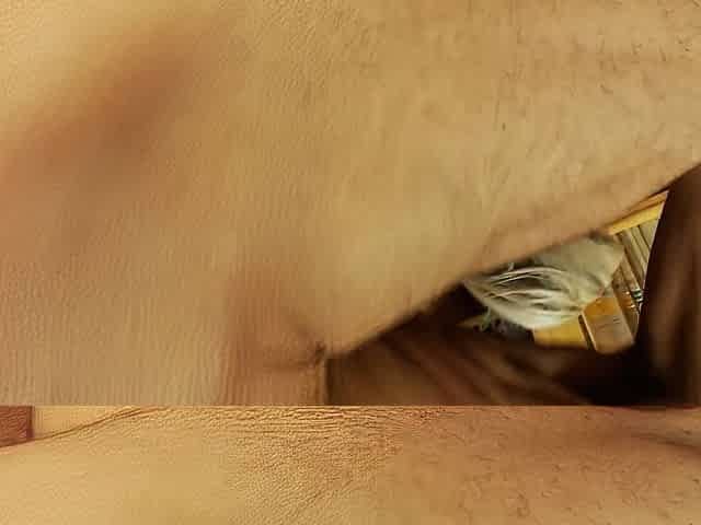Blonde In Fishnets Anna Joy Gets Her Shaved Pussy Fucked