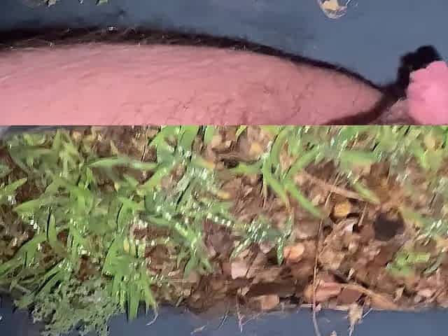 I love pissing