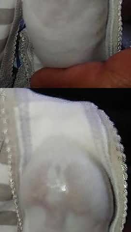 pre cum wifes sister's panty