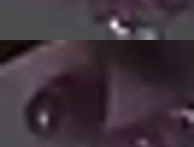 Latina Blowjob