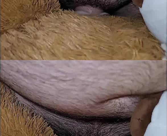 Teddy bear threesome giant spunk flow (slow motion)