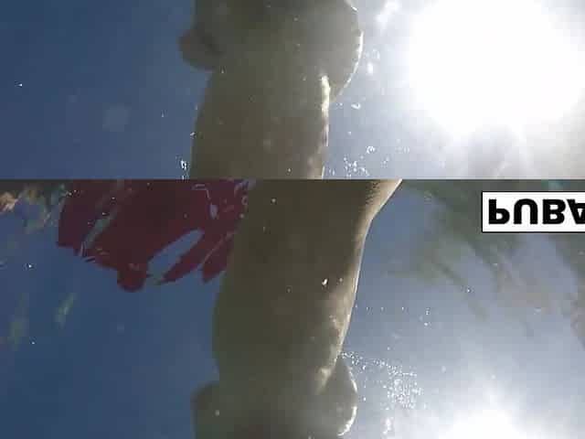Olivia Austin : Olivia Austin has some summer fun in the pool