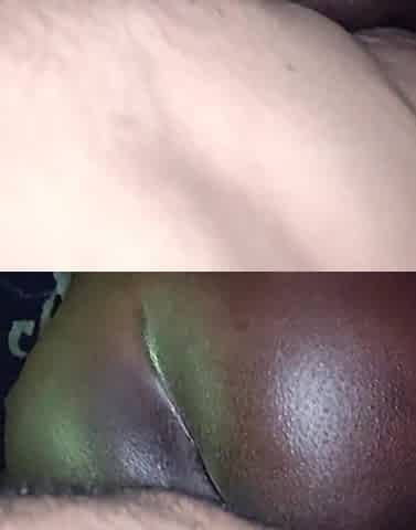 Stallion Ebony Taking Doggie