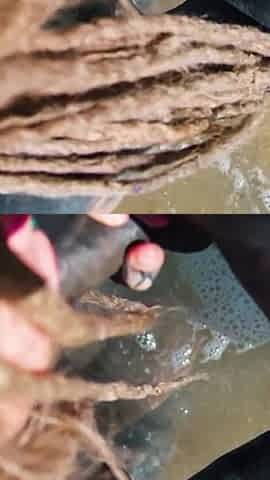 Outdoor Beach POV Blowjob - Sloppy by the Waves