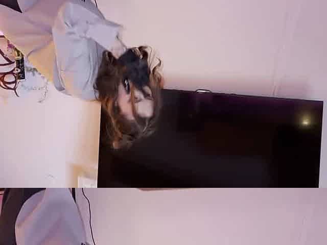 Brunette house maid BJ's for vacation tour while wife's away - XXX!