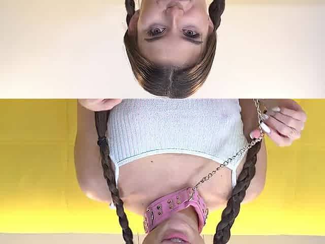 Take my collar and have a fun
