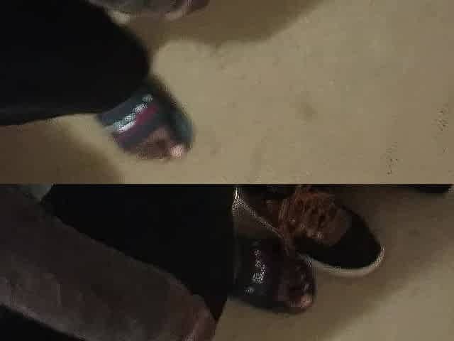 explores shaggy feet and wish