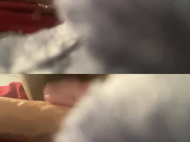 Black bitch gets mouth banged