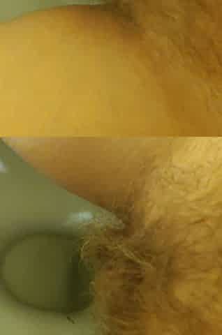 MILF Pee Close up View in the Toilet From Hairy Pussy