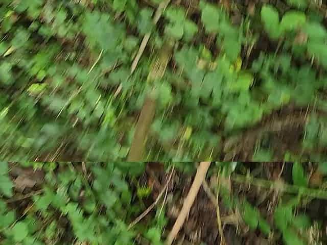 Pissing outdoors on a gorgeous day