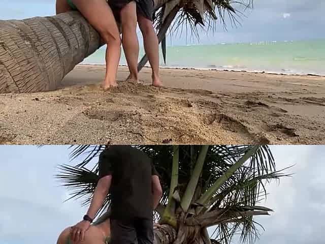 A mother i'd like to fuck teased chap on the beach and this chab got overexcited and banged her in the booty.