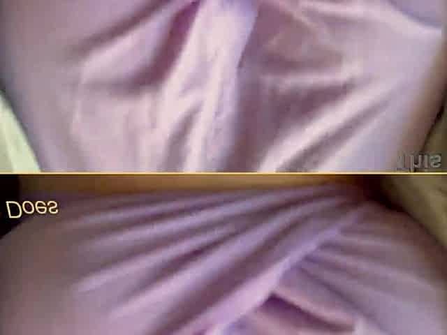 mother I'd like to fuck is excellent braless