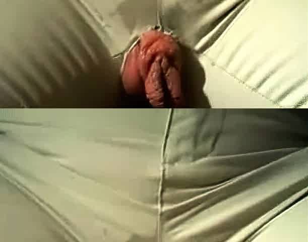 Big Pussy Lips on Webcam