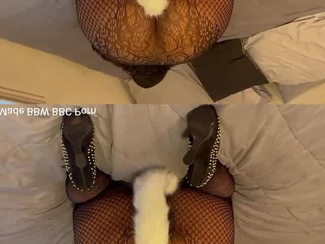 Spanking My Booty Wear Fox Tail Butt Plug