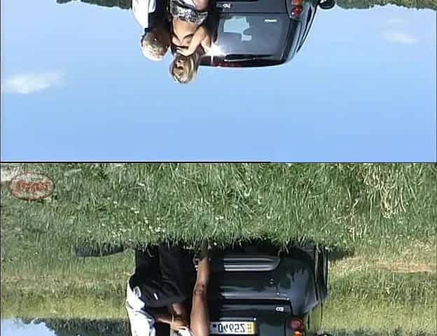 Outdoors with the Car and Then Fucking Like Rabbit