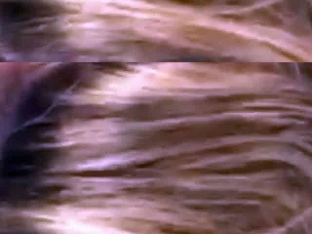 Mature brunette amateur giving a great POV blowjob