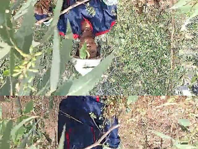 CO WOKER ESCAPE FROM THE JOB THAT BABE WENT TO FINGER HERSELF IN THE BUSH