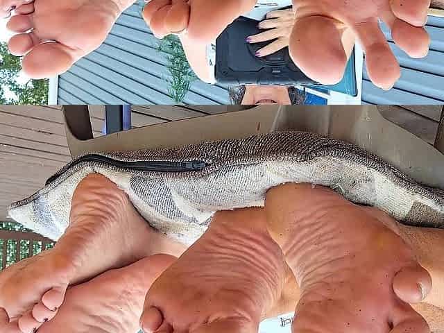 Cum join us for some foot fetish joy