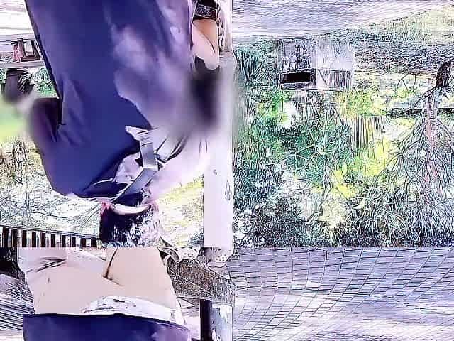 Take A Video Of Fucking A Beautiful Girl In A Park
