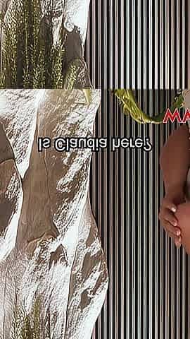Massage with a Happy Ending. Lia Tovar