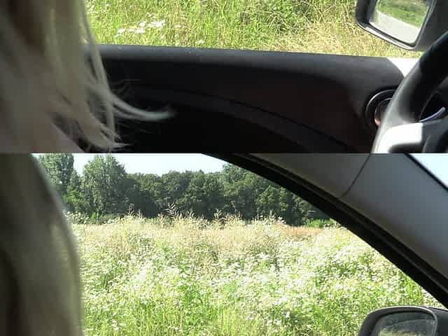 German Driving Naked Car