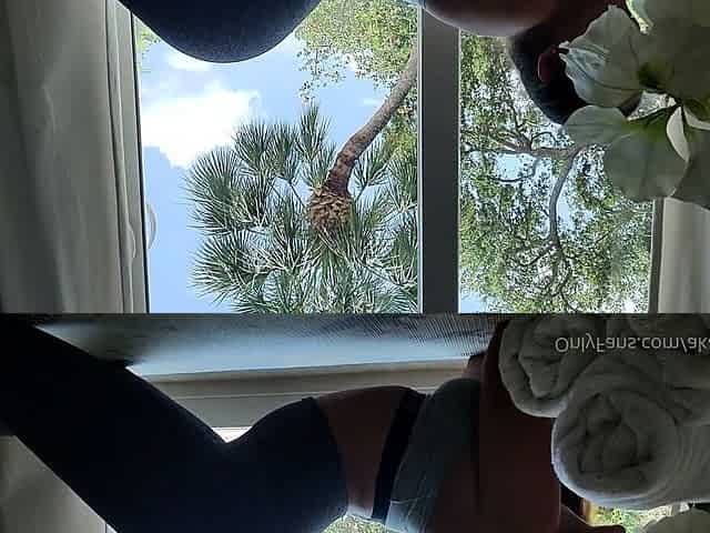Horny Webcam Babe Solo Masturbation
