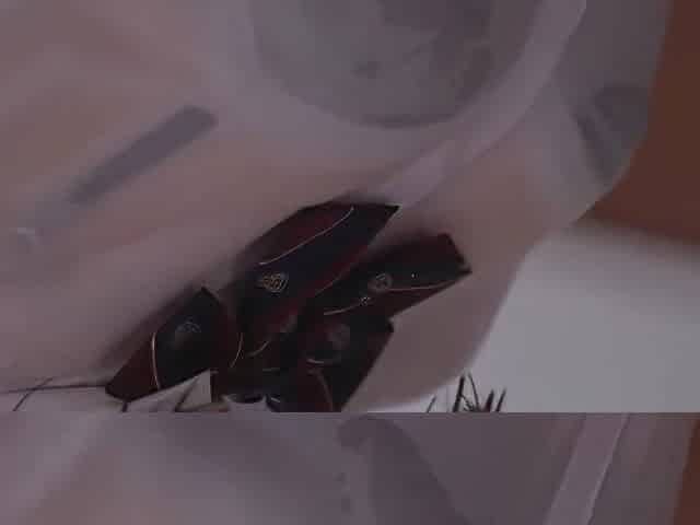 Japanese-sex-toto-1003
