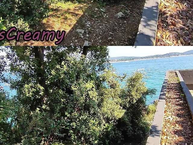 Dick Flash! We Got Caught! Teacher Handjob Nude at the Sea in Croatia! - Misscreamy