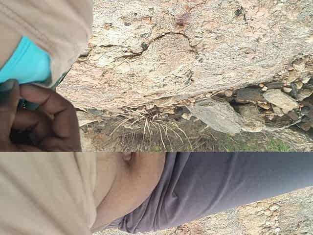 Tamil Married Women Outdoor Part 3