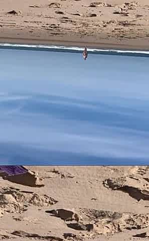 So, What Would You Do if I Just Strode up the Beach Towards You and Lay on Your Towel?