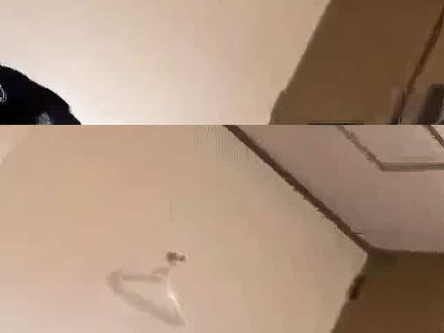 Japanese Amateur Milf Cumshot
