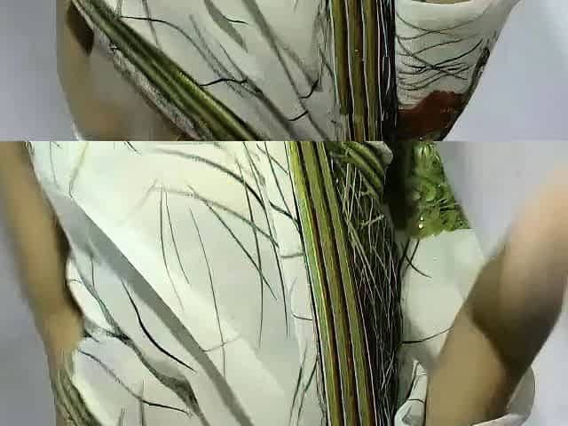 Indian Bhabhi's Steamy Webcam Show in a Saree