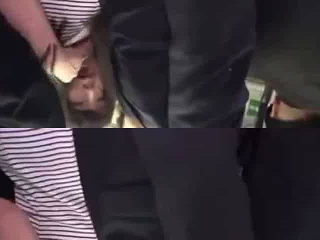 Japanese busgropers
