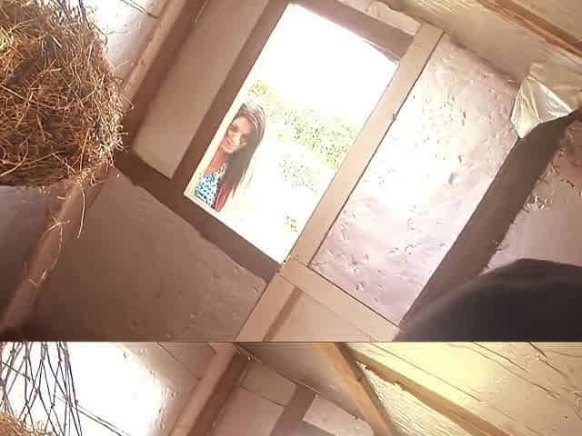 Kat Lee And Kit Lee Fuck The Help In The Hay Loft- Titopia