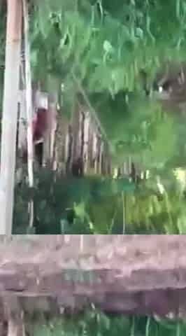 Spying blonde hooker fucking in the woods