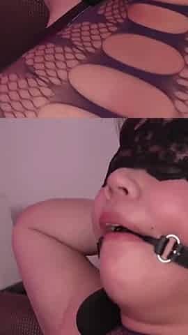 Asian Angel 27221