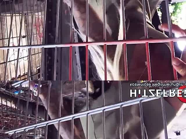 Super Dirty Public Sex In Berlin With Hot Blonde Milf