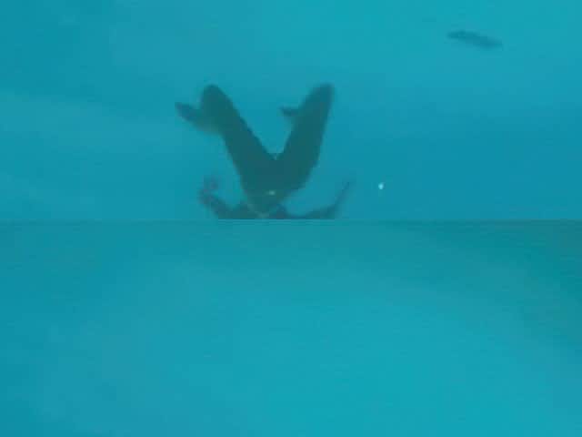 See-through White Swimsuit In Public Pool